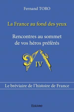 La France au fond des yeux  - Tome IV