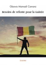Besoins de refonte pour la Guinée