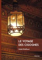 Le voyage des cigognes