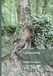 Labaronne