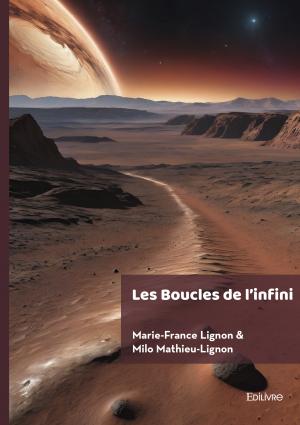 Les Boucles de l'infini 