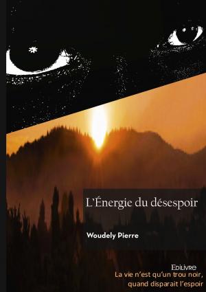 L'Énergie du désespoir