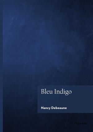 Bleu Indigo