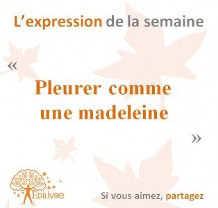 L'expression De La Semaine : " Pleurer Comme Une Madeleine