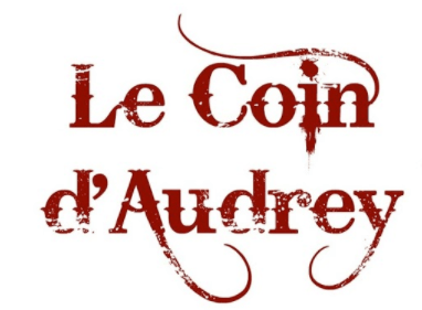 Victoria MARTIN sur Le Coin d’Audrey pour son ouvrage « Horrible prophétie »